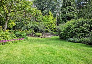 Optimiser l'expérience du jardin à Lachapelle-en-Blaisy